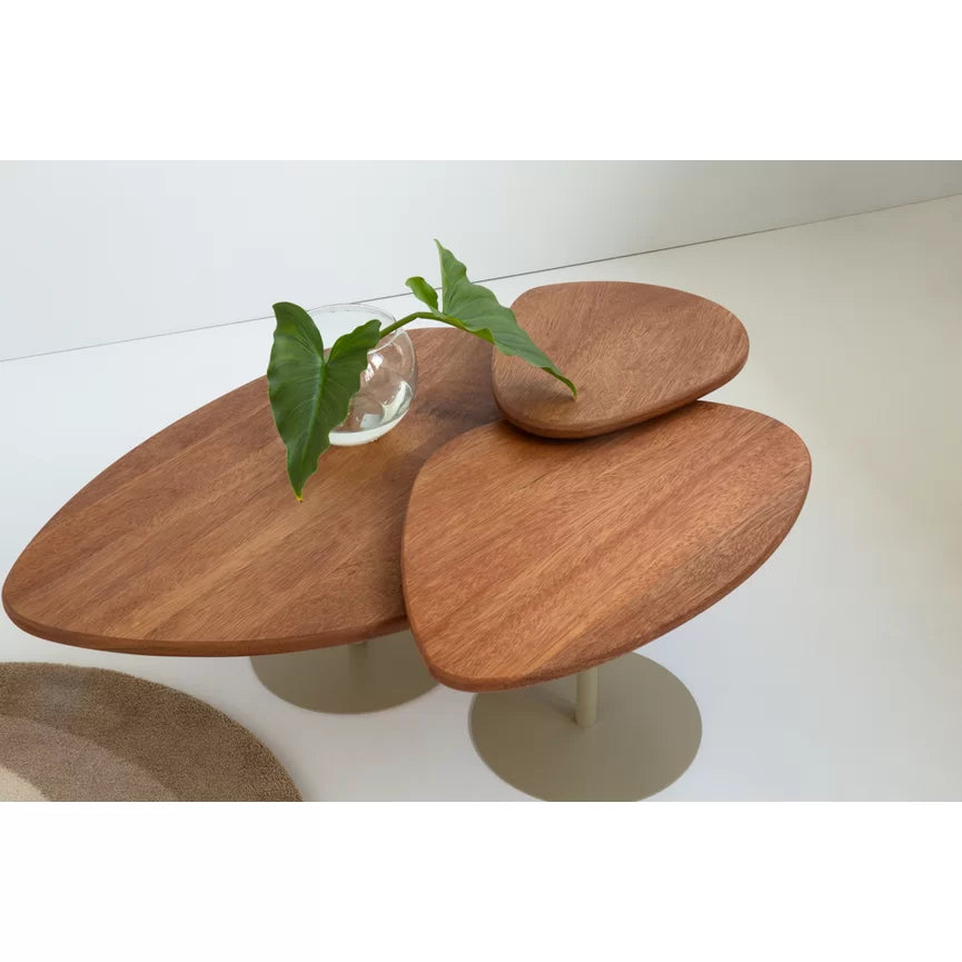 Mesa De Centro Orgânica G